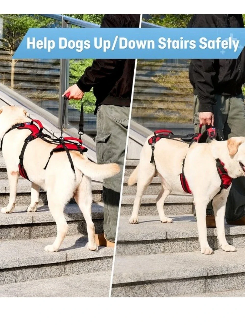 Dog Lift Harness for Extra Large Dogs, Heavy Dog Lifting Support Harness Size:XL